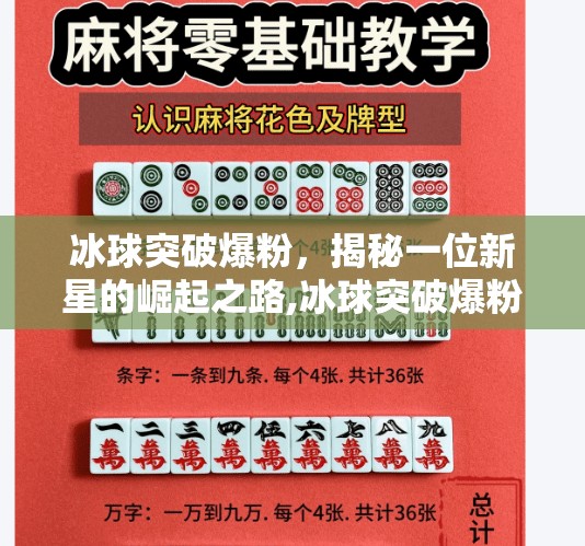 冰球突破爆粉，揭秘一位新星的崛起之路,冰球突破爆粉