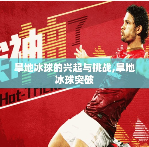 旱地冰球的兴起与挑战,旱地冰球突破