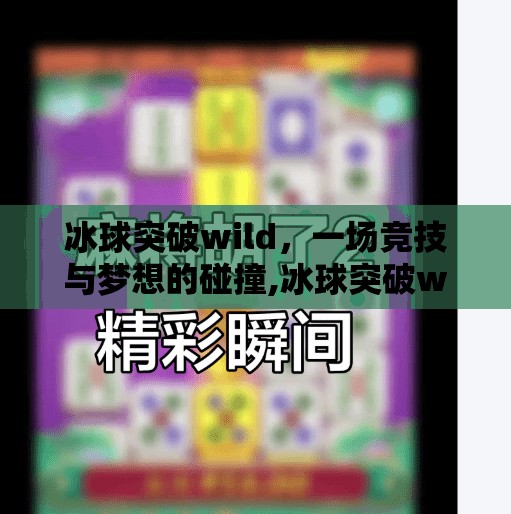 冰球突破wild，一场竞技与梦想的碰撞,冰球突破wild