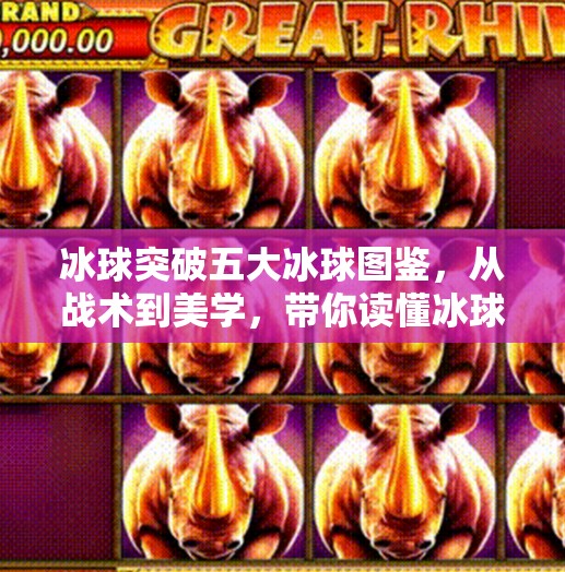 冰球突破五大冰球图鉴，从战术到美学，带你读懂冰球运动的热血与智慧,冰球突破五个冰球图片