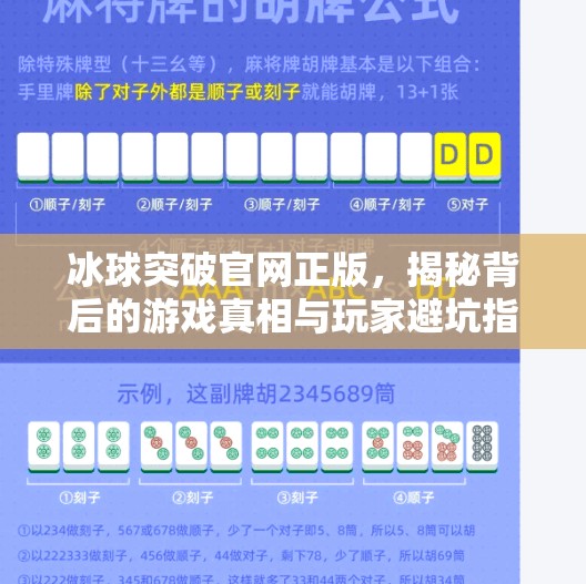 冰球突破官网正版，揭秘背后的游戏真相与玩家避坑指南,冰球突破官网正版