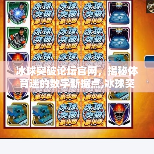 冰球突破论坛官网，揭秘体育迷的数字新据点,冰球突破论坛官网