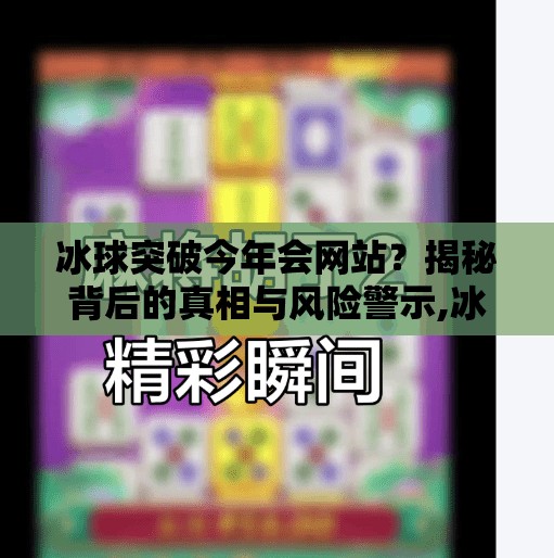 冰球突破今年会网站？揭秘背后的真相与风险警示,冰球突破今年会网站