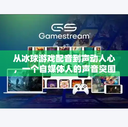 从冰球游戏配音到声动人心，一个自媒体人的声音突围之路,突破冰球游戏配音
