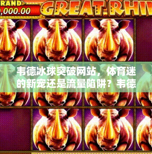 韦德冰球突破网站，体育迷的新宠还是流量陷阱？韦德冰球突破网站