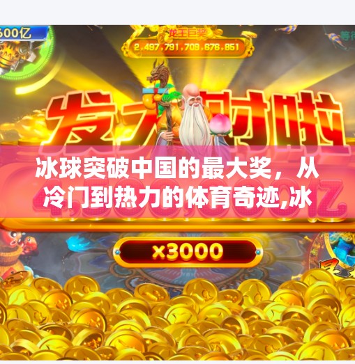 冰球突破中国的最大奖，从冷门到热力的体育奇迹,冰球突破中国的最大奖