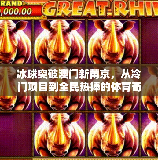 冰球突破澳门新莆京，从冷门项目到全民热捧的体育奇迹,冰球突破澳门新莆京