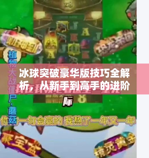 冰球突破豪华版技巧全解析，从新手到高手的进阶之路，你真的掌握了吗？冰球突破豪华版 技巧