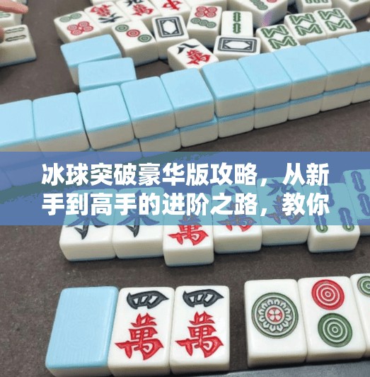 冰球突破豪华版攻略，从新手到高手的进阶之路，教你轻松赢取大奖！冰球突破豪华版攻略