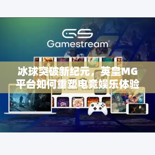 冰球突破新纪元，英皇MG平台如何重塑电竞娱乐体验？英皇MG冰球突破网址