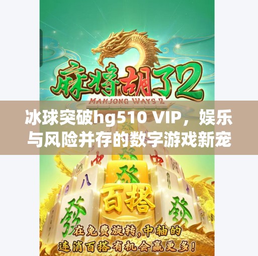 冰球突破hg510 VIP，娱乐与风险并存的数字游戏新宠？冰球突破hg510 vip