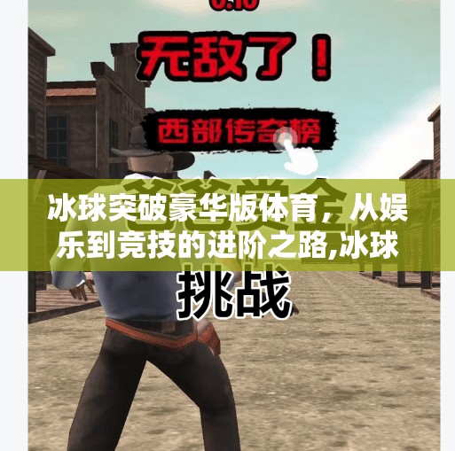 冰球突破豪华版体育，从娱乐到竞技的进阶之路,冰球突破豪华版体育