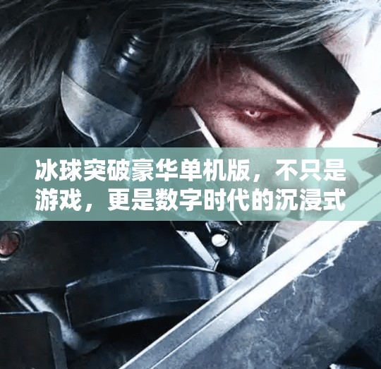 冰球突破豪华单机版,不只是游戏,更是数字时代的沉浸式体验,冰球突破豪华单机版 冰球突破豪华单机版,不只是游戏,更是数字时代的沉浸式体验,冰球突破豪华单机版