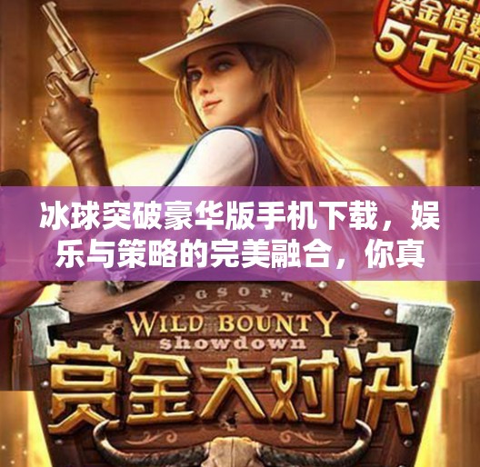冰球突破豪华版手机下载，娱乐与策略的完美融合，你真的了解这款游戏吗？冰球突破豪华版手机下载